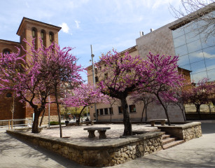 Cornellà de Llobregat