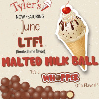 Tyler's Gourmet Ice Cream food