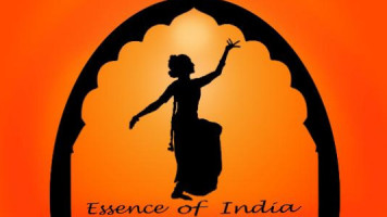 Essence of India food