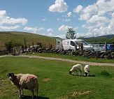 Bean On The Fells outside