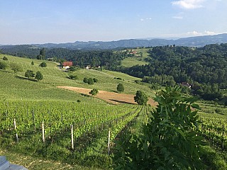 Weingut Maitz