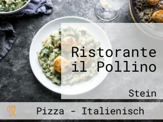 Ristorante il Pollino