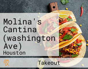 Molina's Cantina (washington Ave)