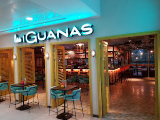 Las Iguanas Chelmsford