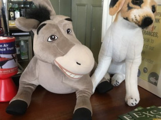 The Dog And Donkey