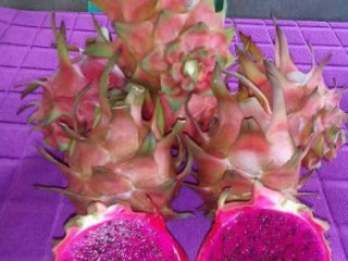 Highland Dragon Fruit Of The South