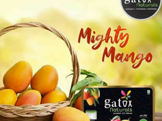 Gatox Naturals Natural Icecreams Samalkot