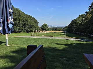 Viehweide Hofheim Waldgaststätte Ausflugslokal