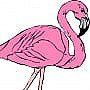 Le flamand rose