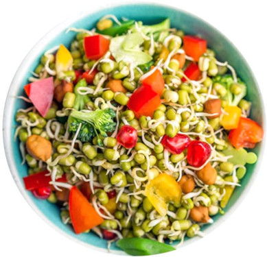 Mixed Sprout Salad