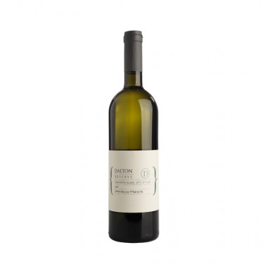 Sauvignon Blanc, Veneto (Fles)