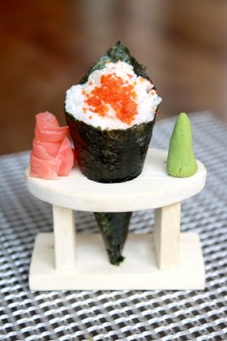 Temaki Camera