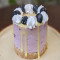 Mini Blueberry Lemon Cheesecake