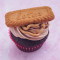 Lotus Biscoff Truffle Cupcake