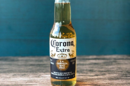 Corona Beer Bottle V