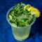 Special Mint Mojito