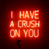 I Have A Crush On You