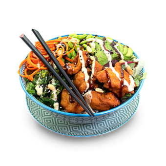 Japanse Fried Chicken Bowl