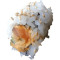 Spicy Salmon Gurke Inside Out Roll (Pikant)