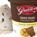 Cookie Dough Chocolate Chip Pint