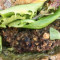 Sweet Potato Black Bean Burger (Gf, Vegan)