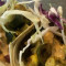 Vegan Burrito (Lentil Salad,Cauliflower,Brussels, Fried Eggplant, Cabbage Chipotle Tahini) (1)