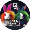Scene Rabbits