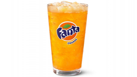 Fanta Oranje Groot (44 Oz)