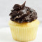 Boston Creme Cupcake