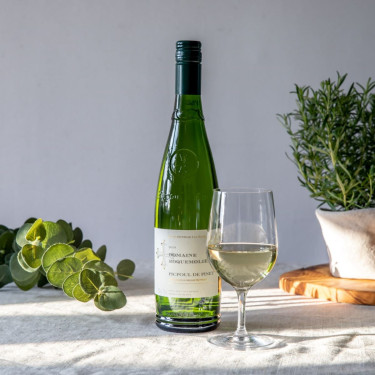 Domaine Roquemolière, Picpoul